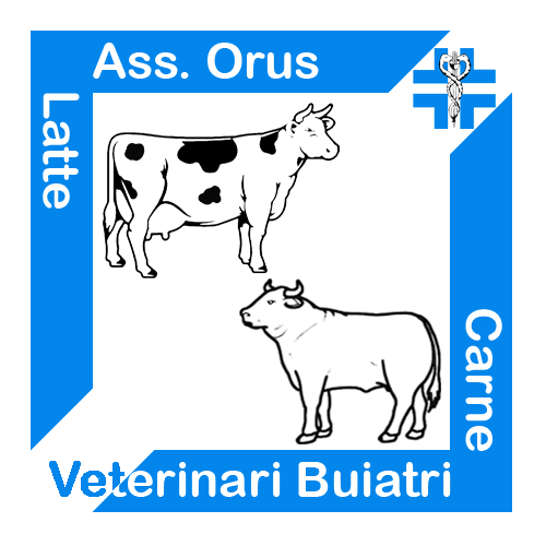 Logo orus